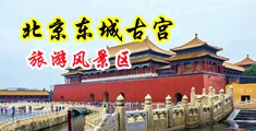 大鸡巴插小逼逼的小视频中国北京-东城古宫旅游风景区